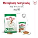 Royal Canin Mini Adult karma sucha dla psów dorosłych, ras małych 8kg