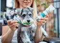 Vet's Best Dental żel + szczoteczka zestaw Adult