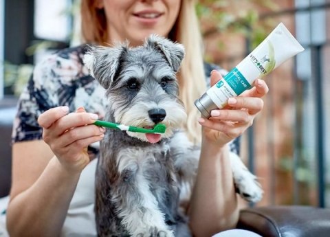 Vet's Best Dental żel + szczoteczka zestaw Adult