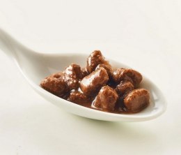 Kattovit Feline Diet Niere/Renal indyk saszetka 85g