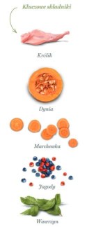 Amanova Dog Puppy Digestive Divine Rabbit - królik 2kg