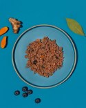 Amanova Dog Adult Iberian Pork - wieprzowina saszetka 300g [P04]