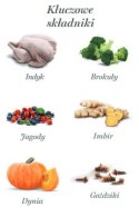 Amanova Dog Adult Turkey Delight - indyk saszetka 100g [P07]