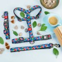 Collar WauDog Nylon Obroża nylonowa z QR-paszportem, plastikowy fastex, wzór FIGA, M 20mm/28-40cm