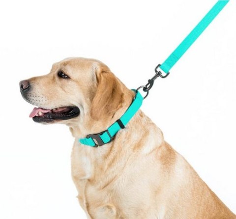 Collar WauDog Waterproof Obroża wodoodporna z QR-paszportem, akumulująca światło, plastikowy fastex, 25mm/34-49cm