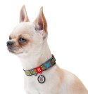 Collar WauDog Nylon Obroża nylonowa z QR-paszportem, plastikowy fastex, wzór MILITARY, S 15mm/25-35cm