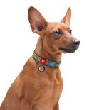 Collar WauDog Nylon Obroża nylonowa z QR-paszportem, plastikowy fastex, wzór MILITARY, S 15mm/25-35cm