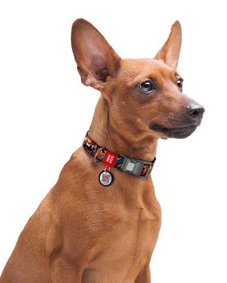 Collar WauDog Nylon Obroża nylonowa z QR-paszportem, plastikowy fastex, wzór ZĘBATE POTWORY, L 25mm/33-49cm
