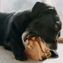 4DOGS Gryzak z korzenia drzewa wrzosowego L