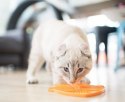 LickiMat Classic Casper Rybka paski miękka pomarańczowa