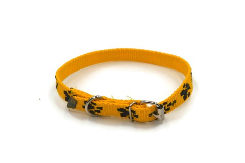 A-155 Obroża dla psa łapki metal 15mm/30-41cm