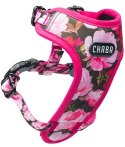 CHABA Szelki Guard Comfort bezuciskowe Story IV S Peony