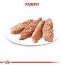 Royal Canin Dermacomfort Loaf karma mokra - pasztet, dla psów dorosłych wszystkich ras saszetka 85g