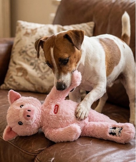 Zolux Zabawka pluszowa Furry Farm Świnka Jason 33cm