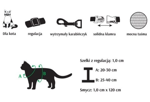 Dingo Komplet dla kota - Smycz i szelki Funky Cat