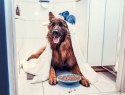 LickiMat Splash miska z przyssawką turkusowa